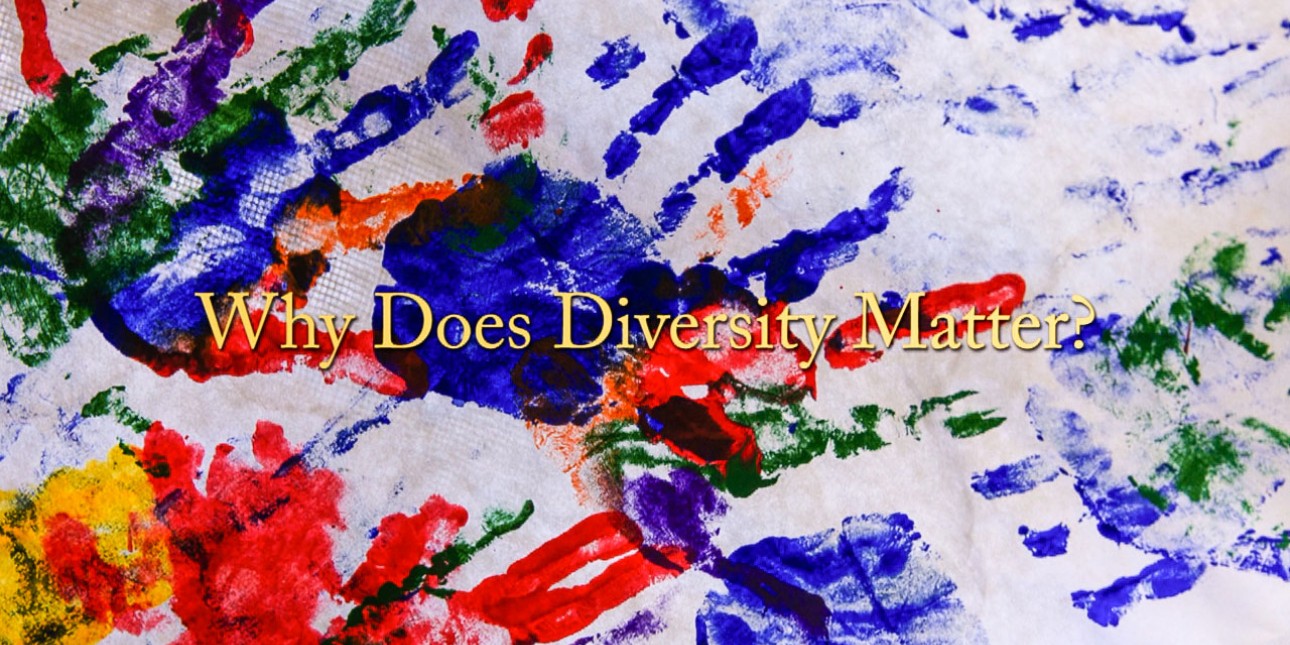 Why Diversity Matters?