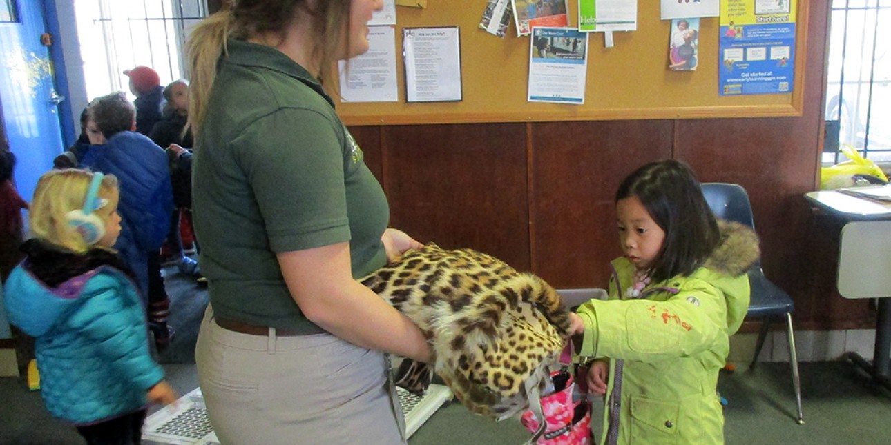 Preschoolers touching a big cat pelt with the zoo on wheels