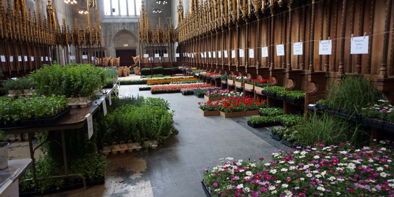 PIC Plant Sale 2016 at St. Andrews Chapel 